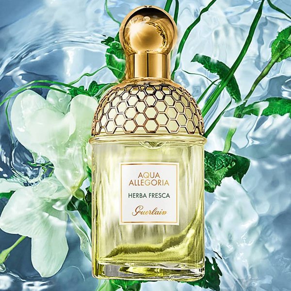 GUERLAIN Aqua Allegoria Herba Fresca 75ml - Image 3