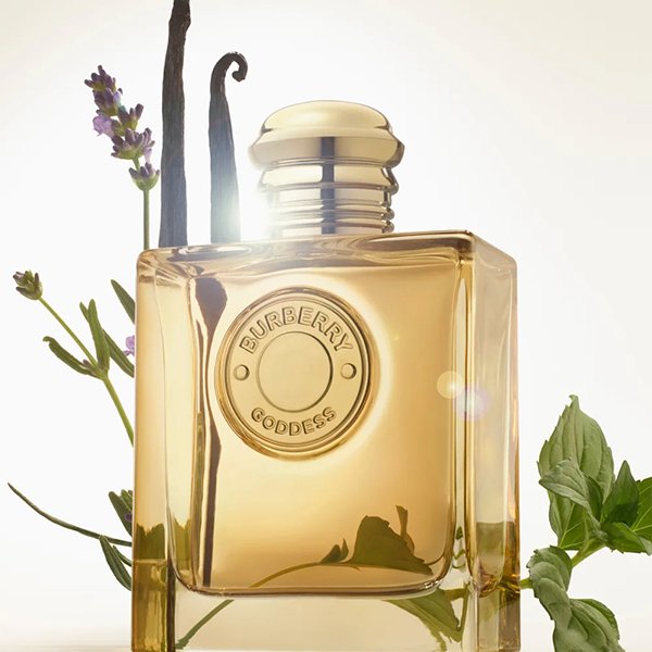 Burberry Goddess Intense 100ml - Image 4