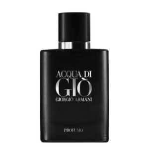 Giorgio Armani Acqua Di Gio Profumo Edp 100ml