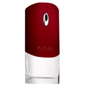 Givenchy Pour Homme 100ml