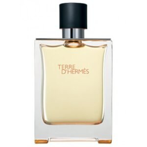 Hermes Terre D`hermes Edp 100ml