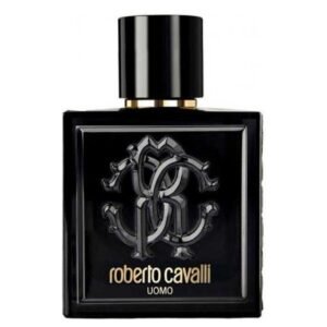 Roberto Cavali Uomo Edt 100ml